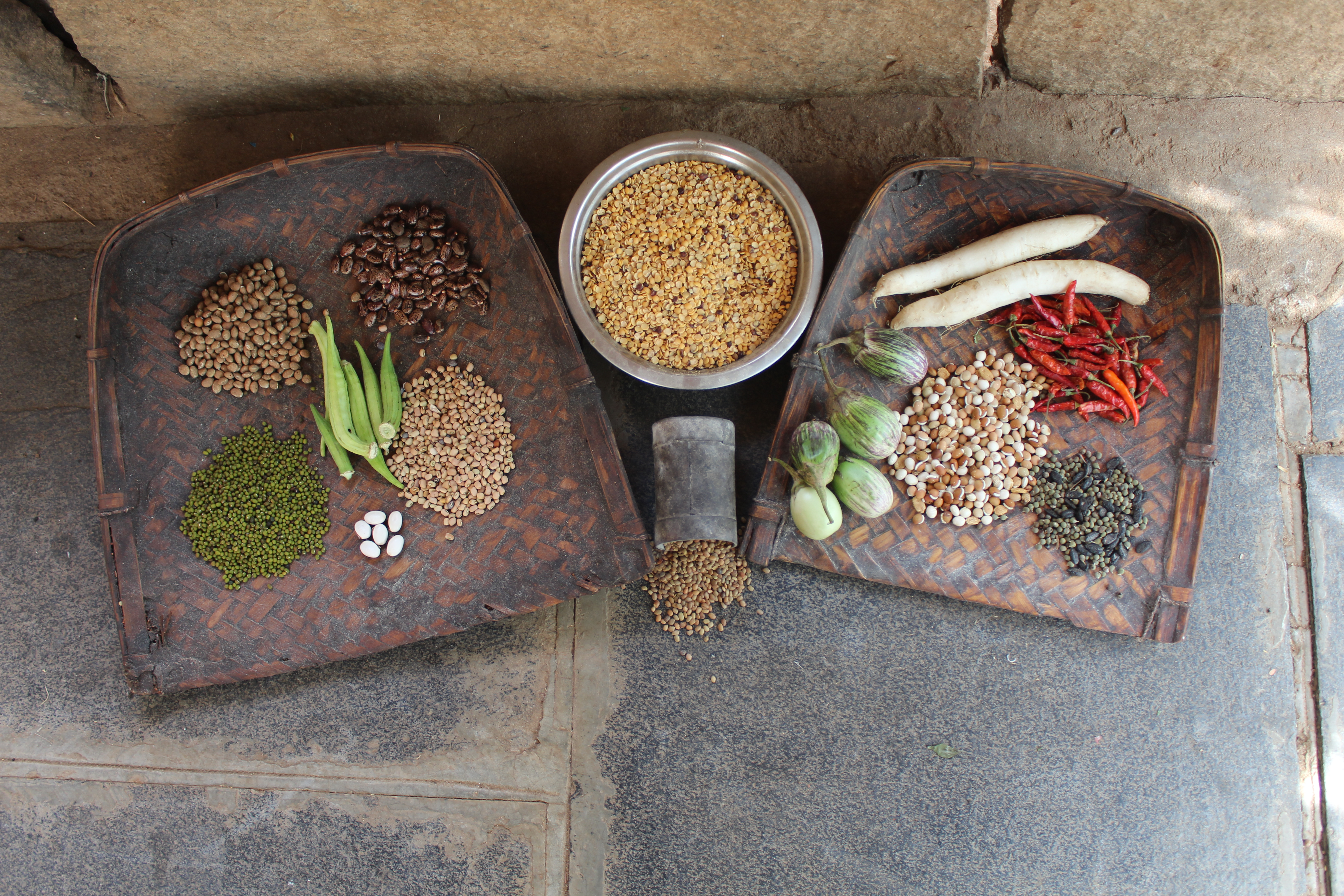 Traditional food grains and handwoven grain-cleaning tools